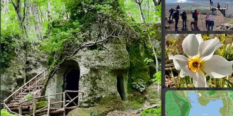 Riserva Naturale del Lago di Vico il Monte Fogliano e la sua faggeta