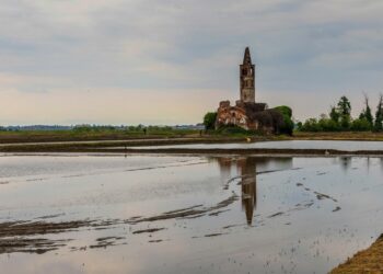 chiesa di sant antonio abate casaleggio novara foto di Filippo Impieri (1)