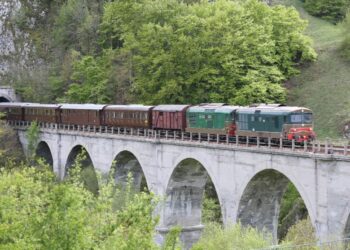 treno storico ferrovia dei parchi