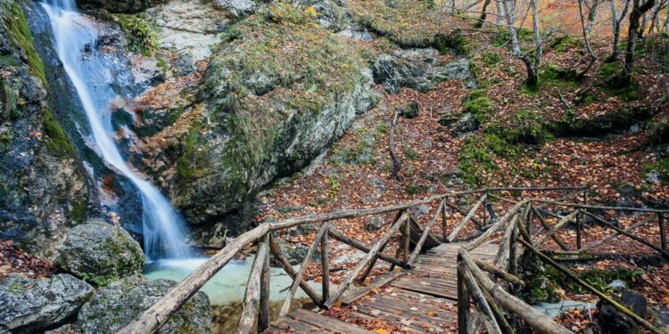 cascata ninfee camosciara