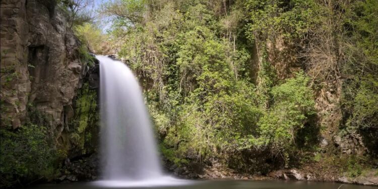 cascata pellico