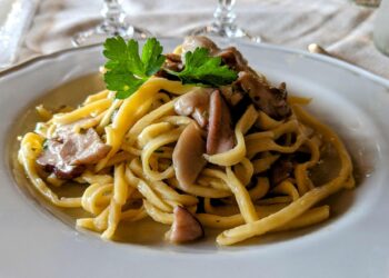 Fettuccine ai funghi porcini, Agriturismo Vizianello