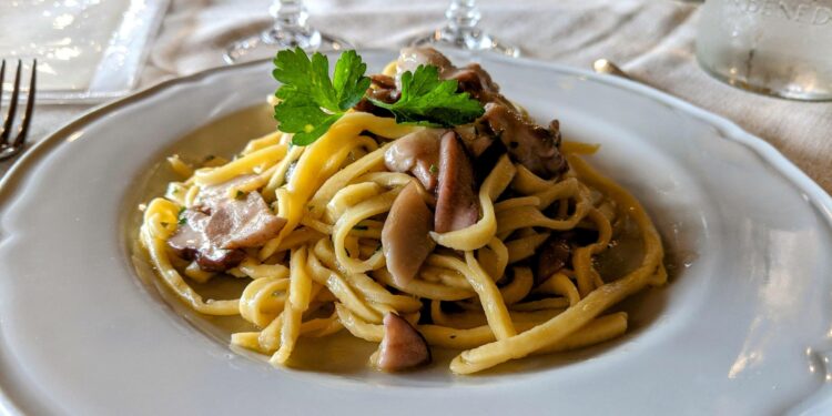 Fettuccine ai funghi porcini, Agriturismo Vizianello