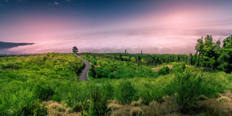 Parco nazionale del Teide