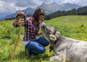 Latte di montagna