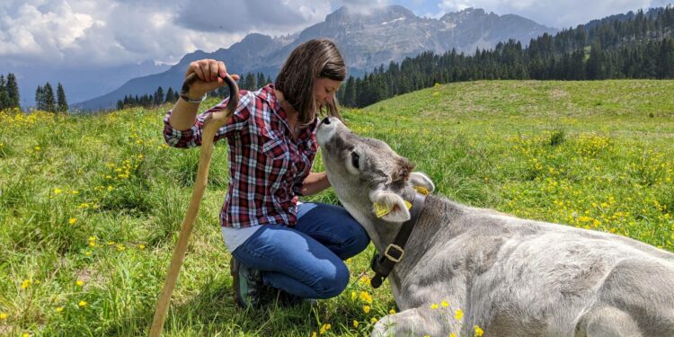 Latte di montagna