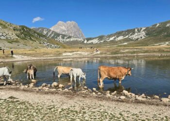 Campo Imperatore