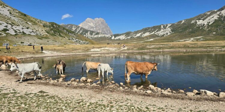 Campo Imperatore