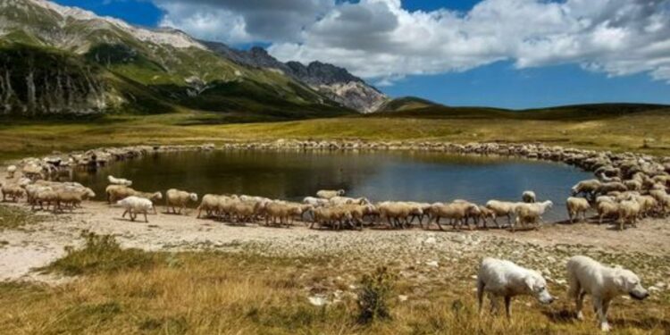 lago pietranzoni