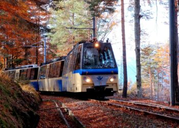 Treno del Foliage da Domodossola a Locarno