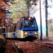 Treno del Foliage da Domodossola a Locarno