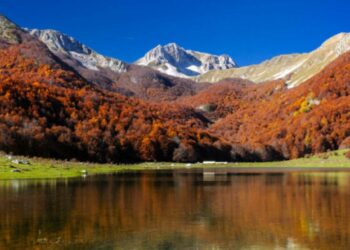 Pianoro Le Forme di Valle Fiorita, Pizzone