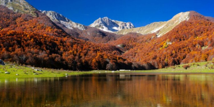 Pianoro Le Forme di Valle Fiorita, Pizzone