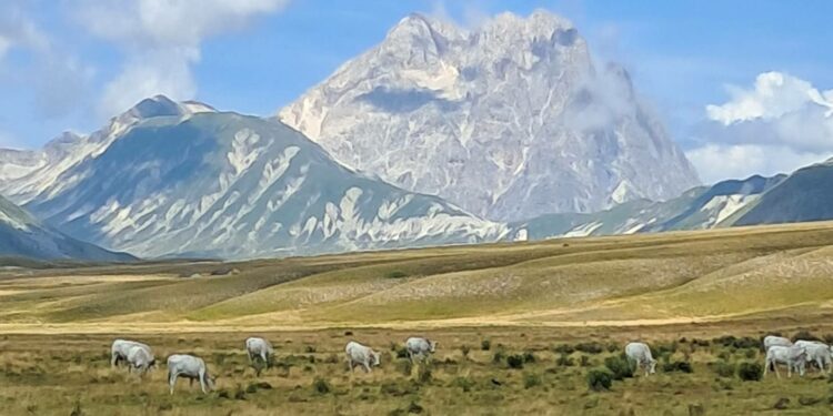 vacanza in abruzzo