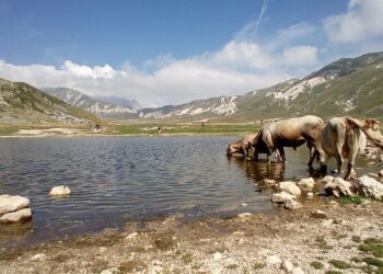 grazie abruzzo