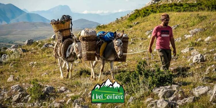 Escursione con gli Asini nel foliage e degustazione di prodotti tipici abruzzesi