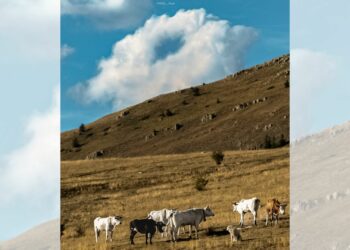 Campo imperatore