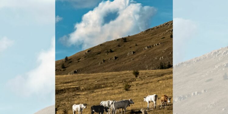 Campo imperatore