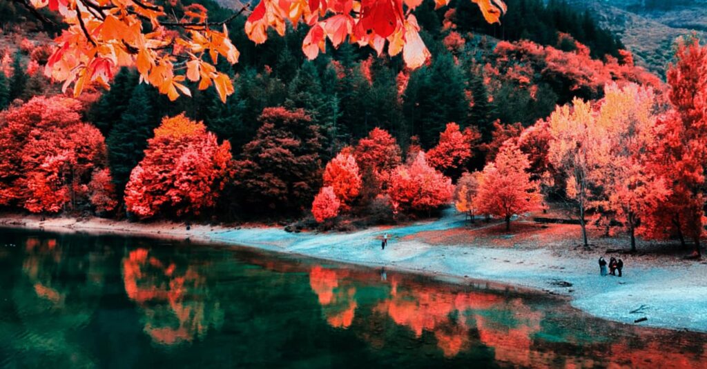 lago di san domenico foliage autunno