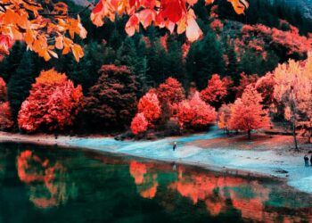 lago di san domenico foliage autunno