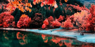 lago di san domenico foliage autunno