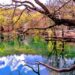 lago sinizzo a san demetrio dei vestini