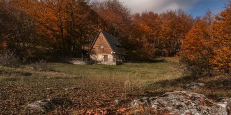 casetta nel bosco a prati di tivo