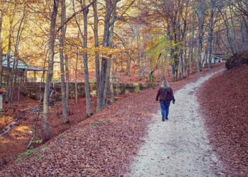 Bosco di Fonte Romana