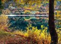 lago di scanno autunno