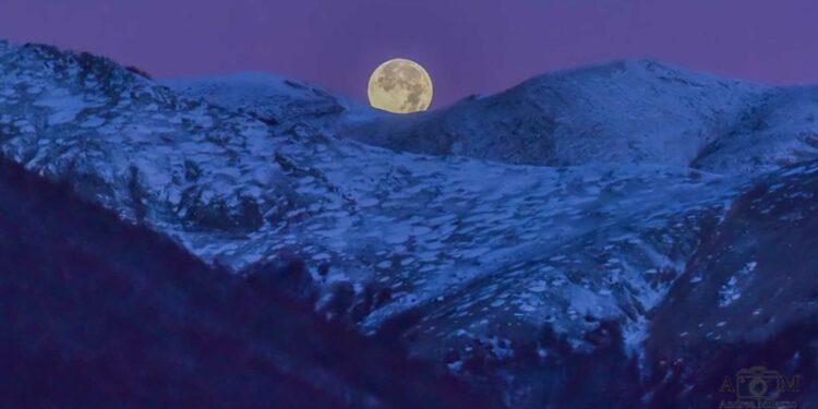 luna del castoro camosciara