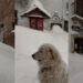 neve a campo di giove