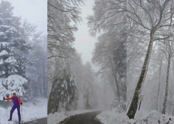 Neve a Capracotta