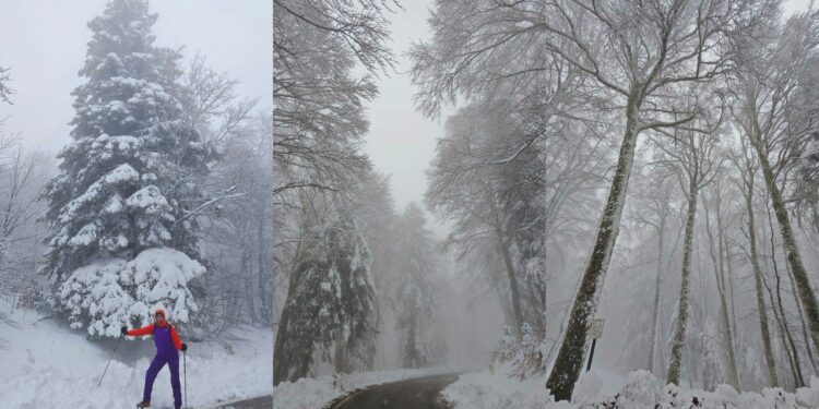 Neve a Capracotta